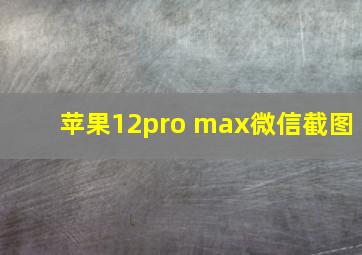 苹果12pro max微信截图